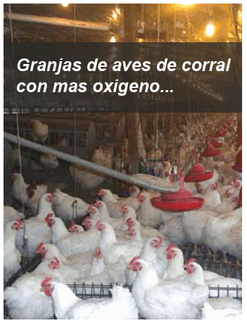 Sistema de calefaccion para granja de gallinas